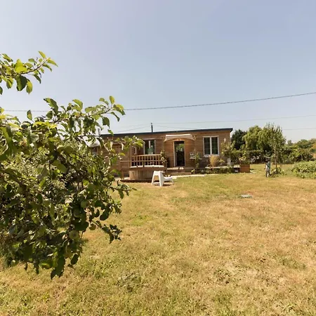 Tatil Evi Le Panier Bio De Noé