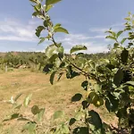 Ferienhaus Le Panier Bio De *