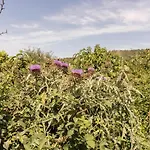 Ferienhaus Le Panier Bio De *