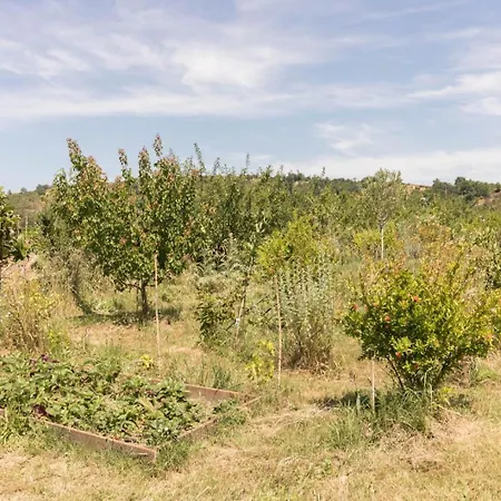 Ferienhaus Le Panier Bio De Noé