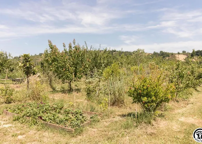 Ferienhaus Le Panier Bio De Noé