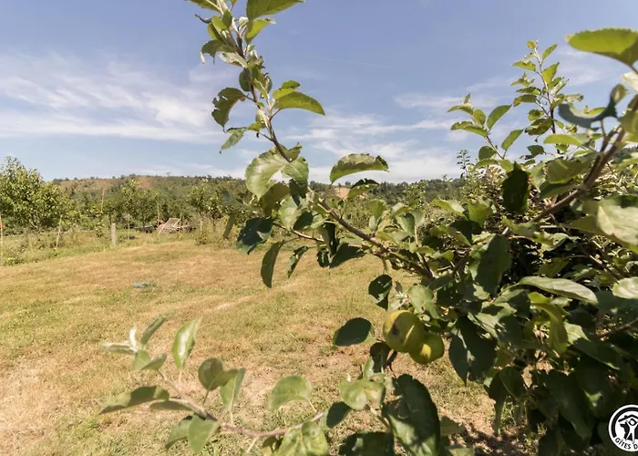 Ferienhaus Le Panier Bio De *